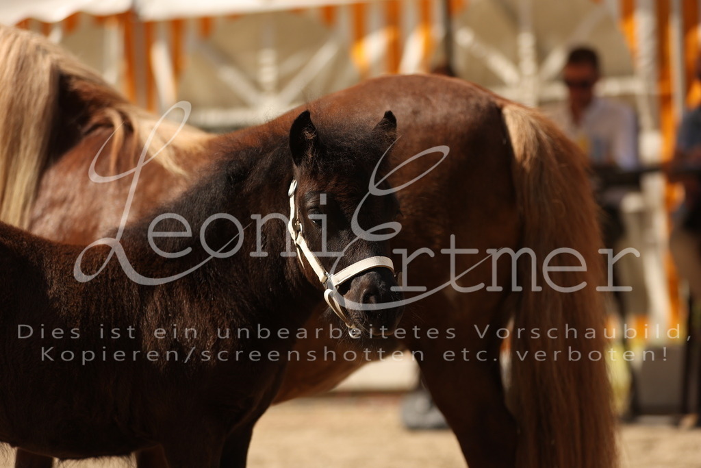 02.So00047 | Leoni Ertmer Photography - Realisiert mit Pictrs.com