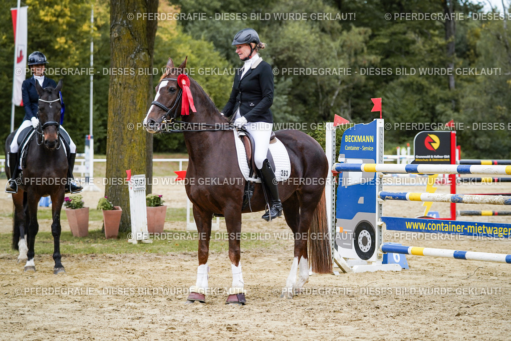 DSC02634 | Pferdegrafie