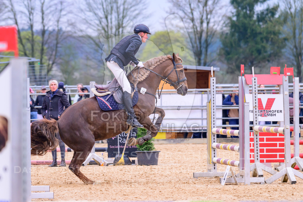 10042026-Mammendorf-Prfg16-0473 | Fokus Hufschlag Fotografie - Realisiert mit Pictrs.com