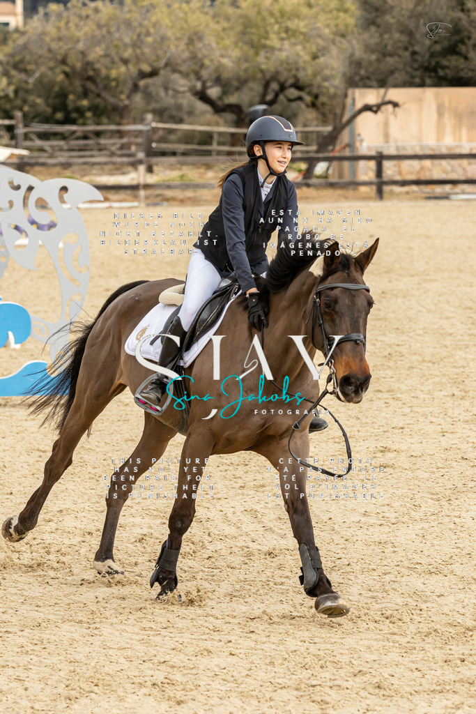 IMG_4598 | s-jay-photography - Realisiert mit Pictrs.com