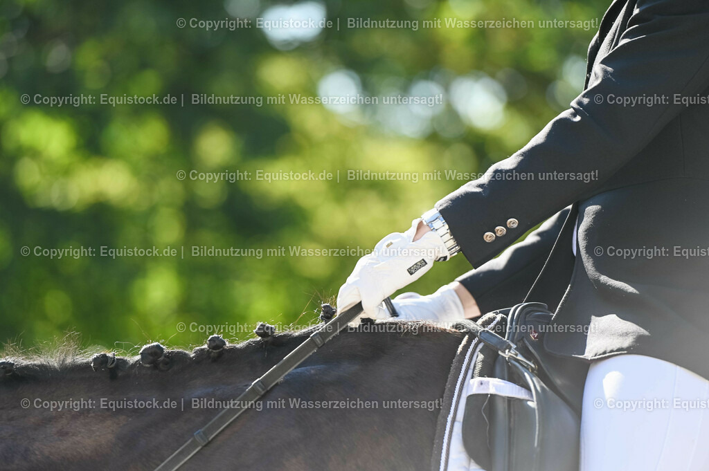 20230715_06_Dressurpferdeprfg. Kl.A_0061 | equistock