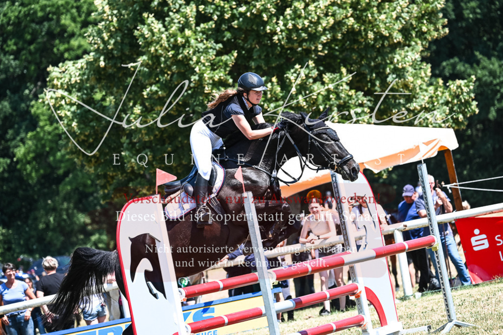 DSC_0499 | Pferde- und Turnierfotografie in Westsachsen. Pferdeportraits, Auftragszeichnungen und intuitive Kunst.