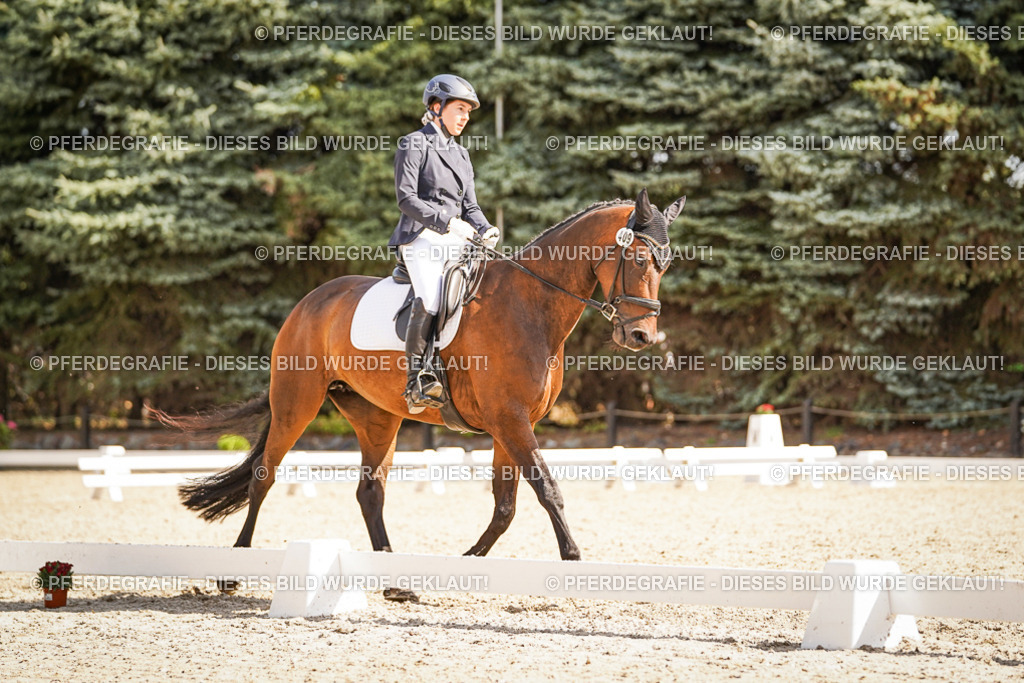 DSC00893 | Pferdegrafie