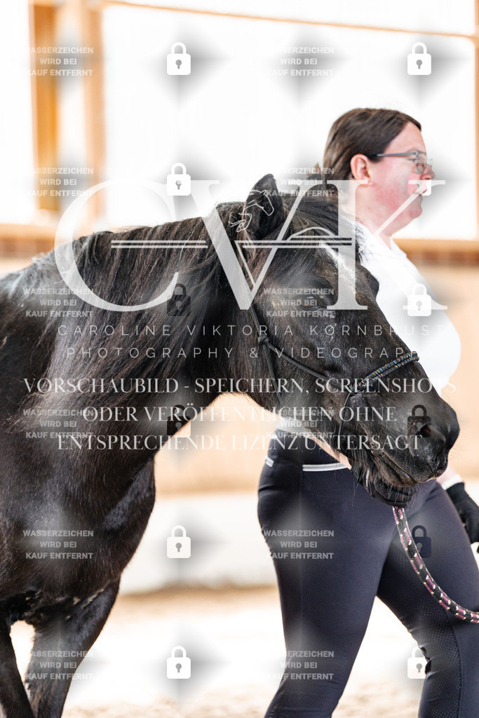 CK905679 | Turnierfotografie Pferdefotografie Trier Rheinland-Pfalz Pferdesport Reitsport Tierfotografie Sportfotografie Pferdevideo Pferdevideografie Equestrianvideography equestrianphotography  - Realisiert mit Pictrs.com
