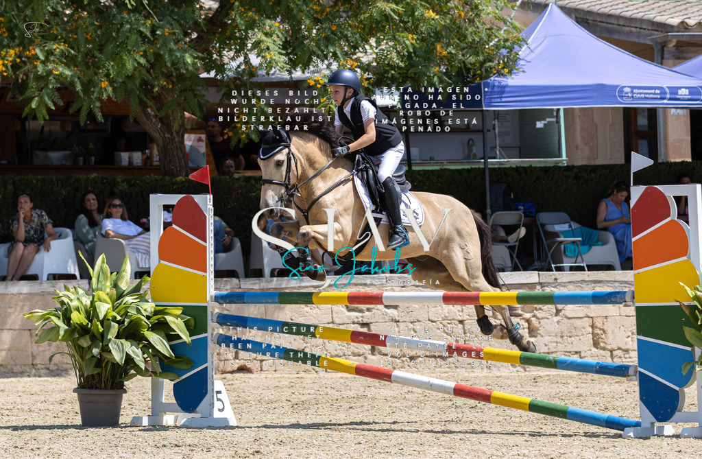 IMG_6052 | s-jay-photography - Realisiert mit Pictrs.com