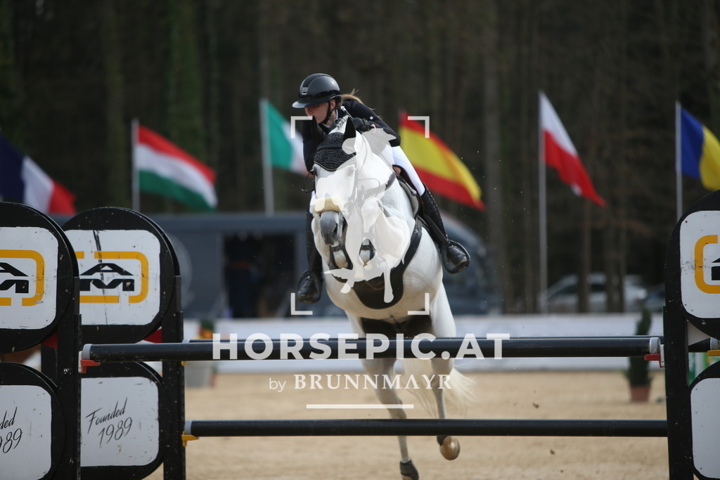 PP018508 | Willkommen bei Brunnmayr - Design & Fotografie – Ihrem Spezialisten für Reitturniere und Pferdeveranstaltungen in Oberösterreich, Salzburg und Bayern! Seit über 17 Jahren sind wir leidenschaftlich dabei.