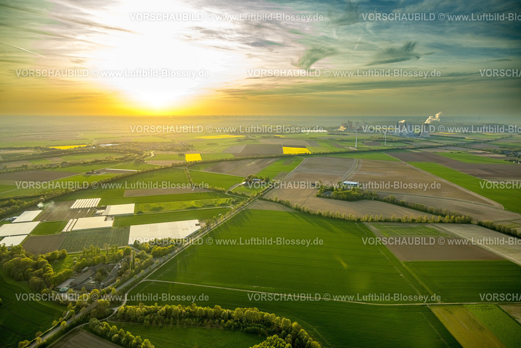Grevenbroich240403939NeurathRWE_PowerKraftwerkNeurathBOA 2_3 | Luftbild, die Abendsonne über Wiesen und Felder in Vanikum Rommerskirchen, Gartenbaubetrieb und landwirtschaftliche Felder mit Gemüse und Obstanbau im Gegenlicht, hinten das RWE Power AG Braunkohlenkraftwerk Neurath BoA 2 und 3, Neurath, Grevenbroich, Rheinland, Nordrhein-Westfalen, Deutschland