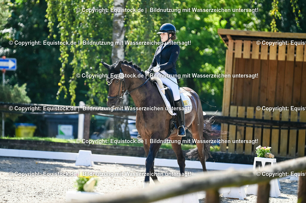 20230908_06_Dressur-L-Trense_0646 | equistock