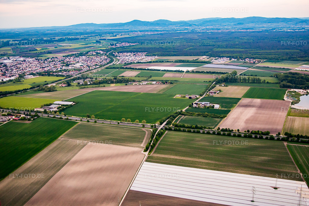 Luftbild: Tal der Rinne von Südwesten in Bürstadt im Bundesland Hessen in Deutschland. Foto: IMG_088608.jpg vom 17.05.2016 durch Werner Riehm/FLY-FOTO.de