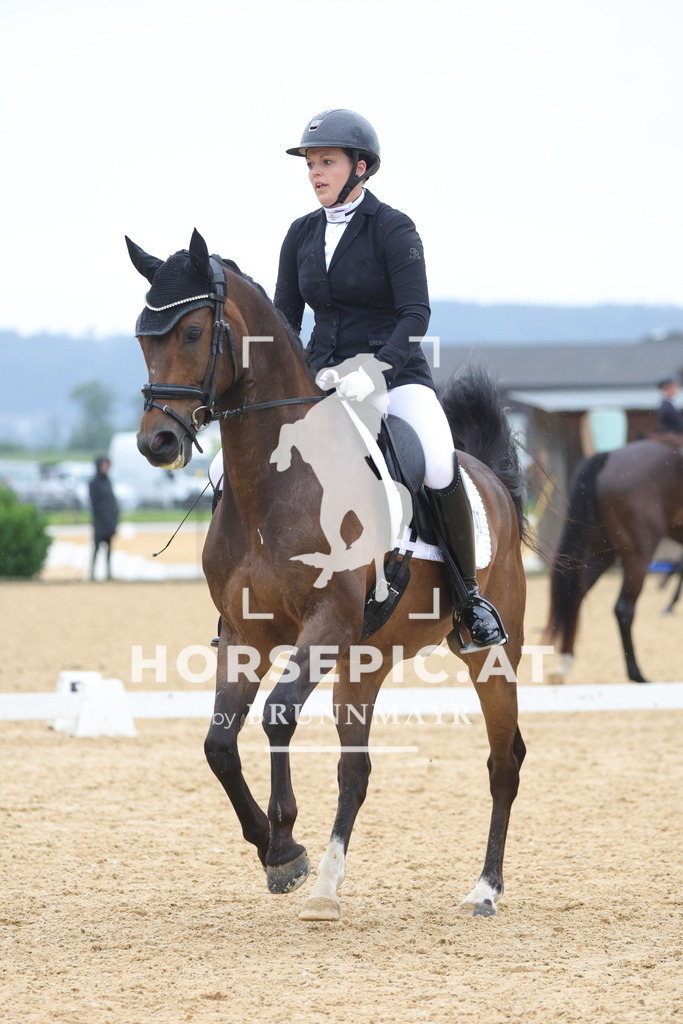 0P6A0561 | Willkommen bei Brunnmayr - Design & Fotografie – Ihrem Spezialisten für Reitturniere und Pferdeveranstaltungen in Oberösterreich, Salzburg und Bayern! Seit über 17 Jahren sind wir leidenschaftlich dabei.