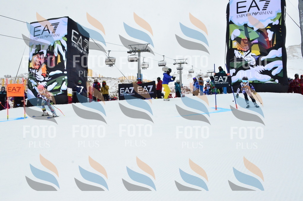 _ELE3233 | holidayphoto