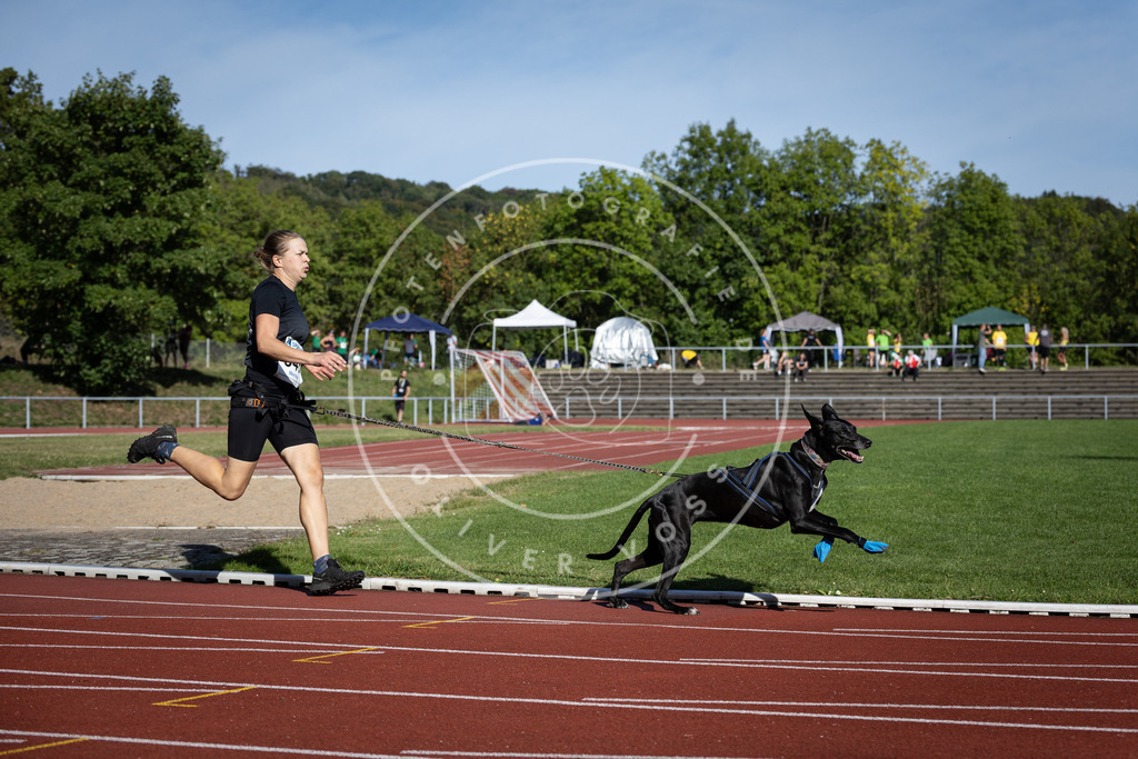 Pfotenfotografie_DV3A9041 | Hundefotografie, Tierfotograf, Pfotenfotografie, Fotoshooting Hund, Hunde Portrait, Hundesport, Hundeportraits, Heideshooting, Hunde, Sportfotograf, Hundefotograf, Turnierhundsport, THS,  - Realisiert mit Pictrs.com