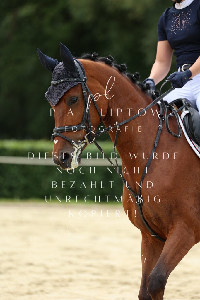 IMGM5732 | pl-fotografie