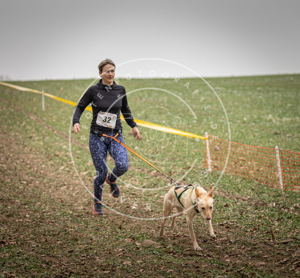 Pfotenfotografie_DV3A4925 | Hundefotografie, Tierfotograf, Pfotenfotografie, Fotoshooting Hund, Hunde Portrait, Hundesport, Hundeportraits, Heideshooting, Hunde, Sportfotograf, Hundefotograf, Turnierhundsport, THS,  - Realisiert mit Pictrs.com