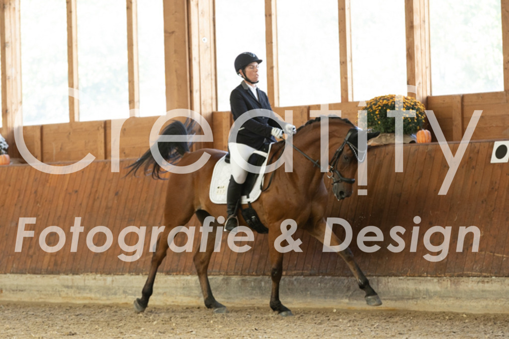 IMG_1778 | Creatify Fotografie