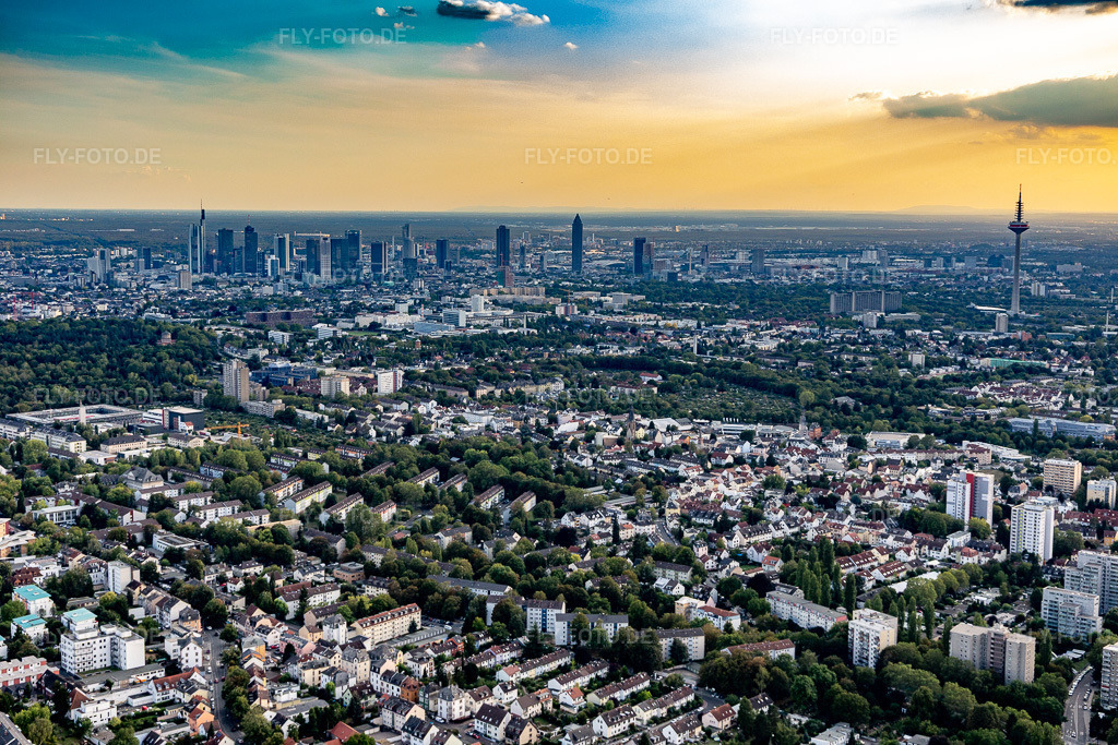 Luftbild: Stadtrand und Außenbezirks- Wohngebiete am Main im Ortsteil Berkersheim in Frankfurt im Bundesland Hessen in Deutschland. Foto: IMG_117665.jpg vom 10.09.2019 durch Werner Riehm/FLY-FOTO.de