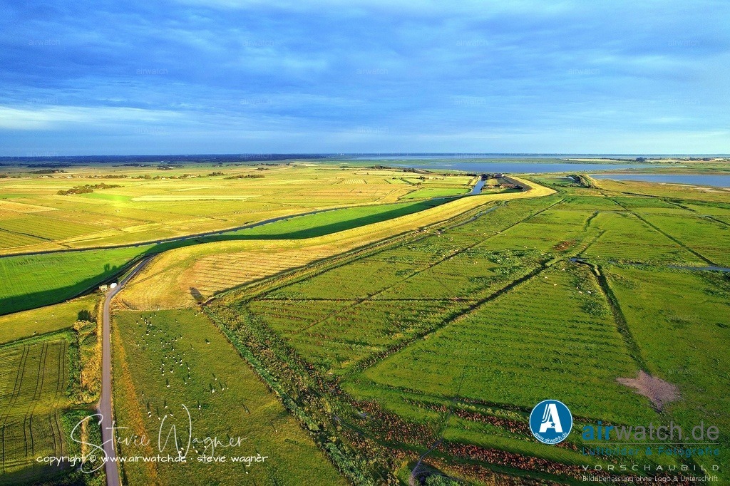 DJI_0300 | default