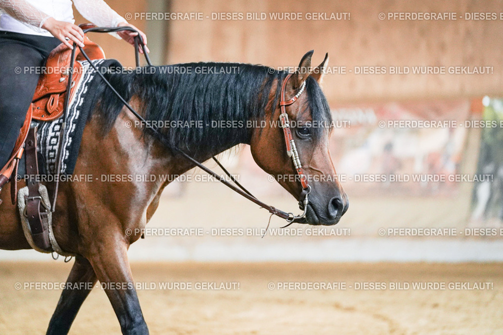 DSC05702 | Pferdegrafie