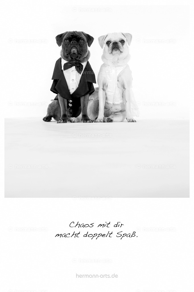 PK_Zitate_10x15_BW-164 | Photo Foto Kunst Art schwarzweiss Bilder Rheine Münster Berlin Blumen 