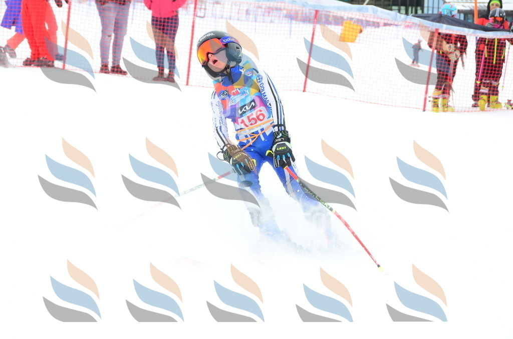 DSC_1496 | holidayphoto