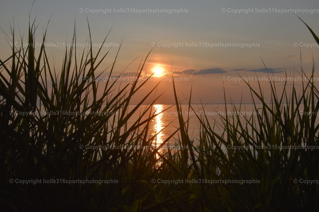 DSC_0134 | Sportfotografie , Motorsport, Motoross, Reitsport, Mointainbike, Enduro,
Landschaft , Outdoor, Eventfotografie, Landschaft, Bilder online bestellen - Realisiert mit Pictrs.com