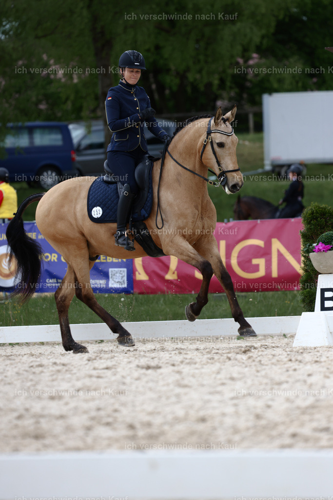 PI26_DR_252_StoibphotographyC2_L7313A.jpg | working equitationturnier fotograf videograf stoibphotography marixx film working equitation deutschland reitsport turnierfotografie eventfotografie equestrian events