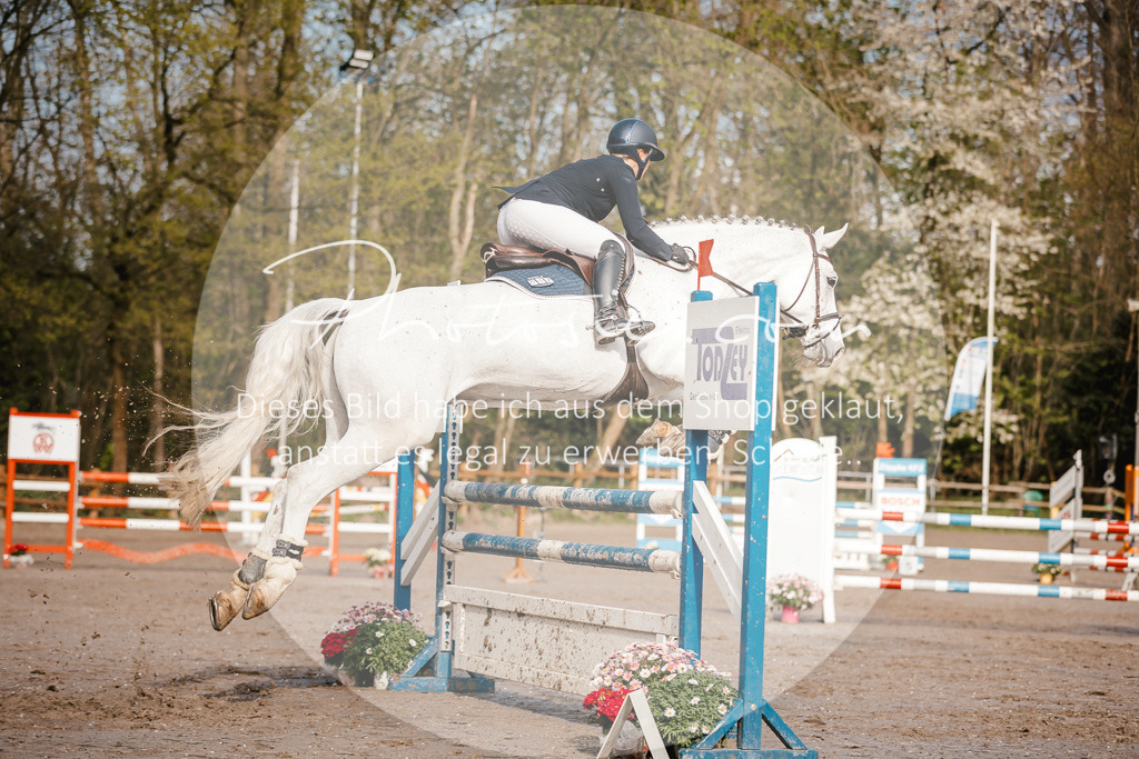3I6A3459 | Stimmungsvolle Portraits und Reitsportfotografie im Ruhrgebiet und im Münsterland.

Pferdefotografie, Hundefotografie, Tierfotografie, Reportagen, Portraits von Tier und Mensch, Turnierfotografie in Bochum, Recklinghausen, Marl, Haltern am See, Dülmen.. - Realisiert mit Pictrs.com