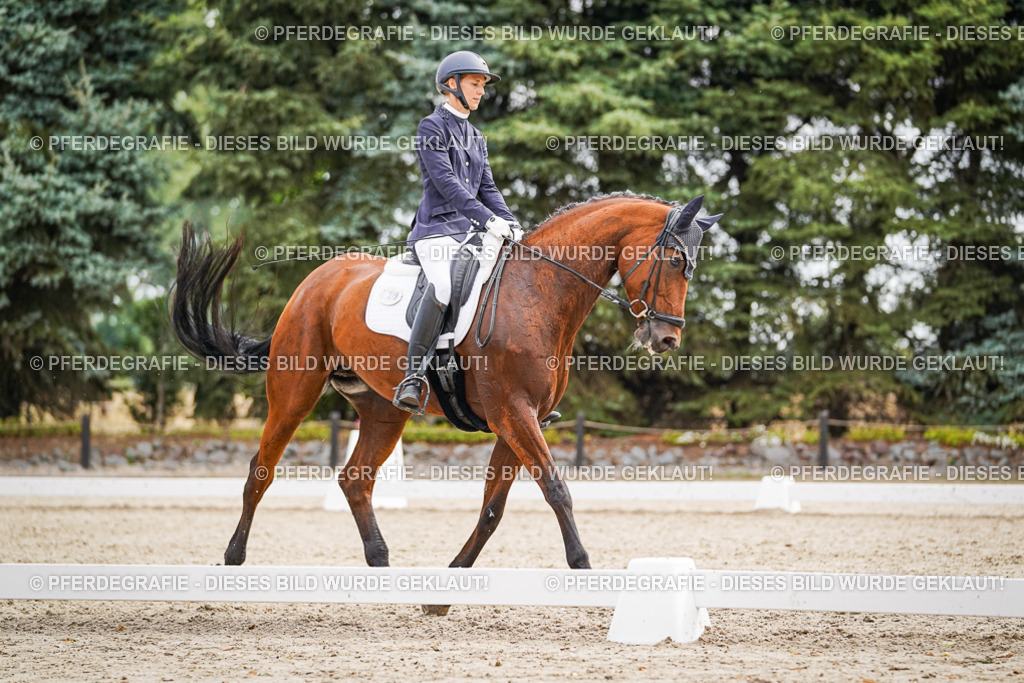 DSC01930 | Pferdegrafie