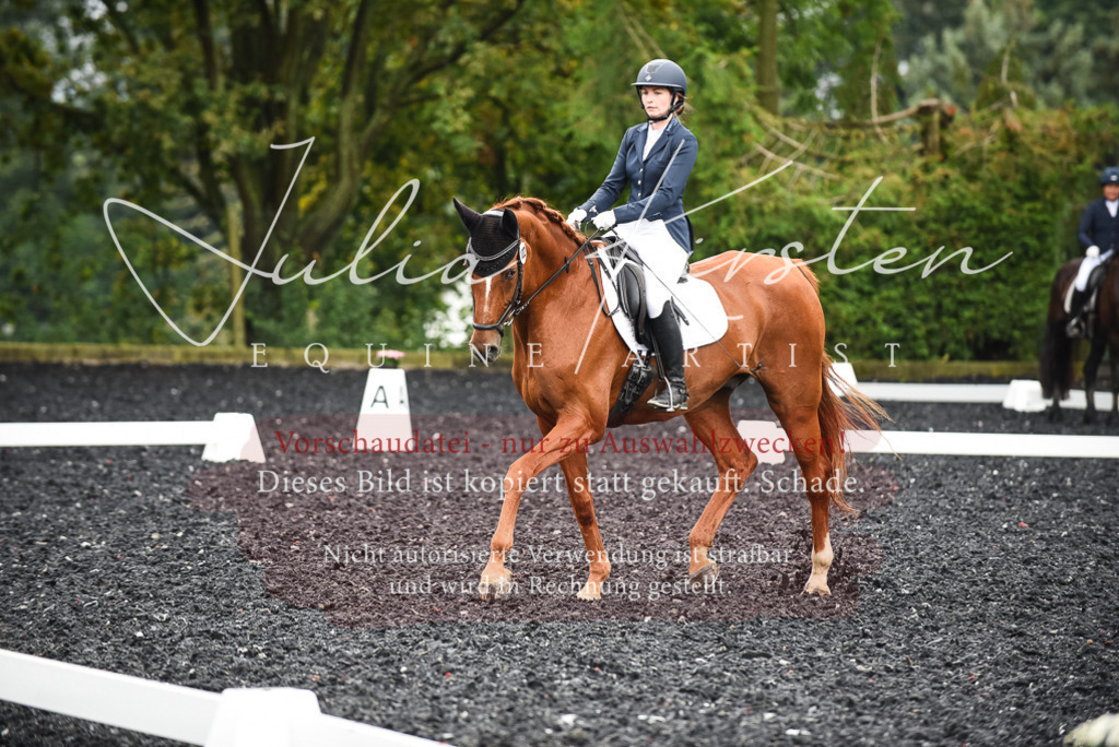 DSC_2771 | Pferde- und Turnierfotografie in Westsachsen. Pferdeportraits, Auftragszeichnungen und intuitive Kunst.