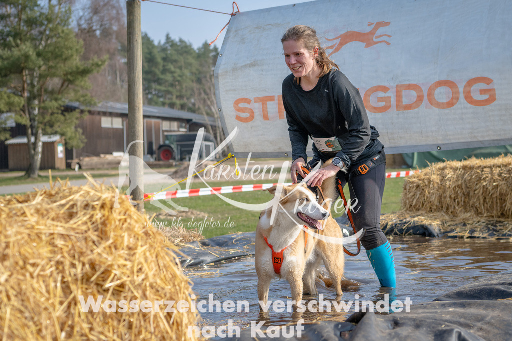 _ZZ92202 | kk-dogfotos