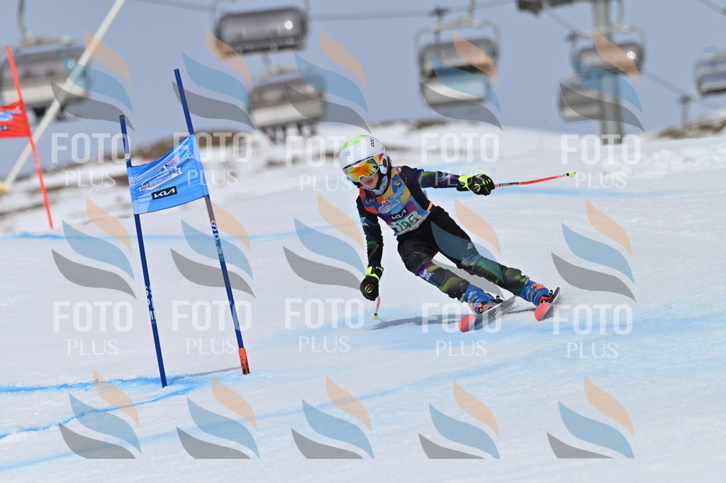 BGV_3749 | holidayphoto