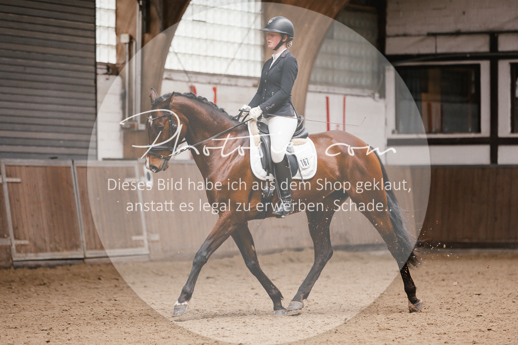 3I6A7484 | Stimmungsvolle Portraits und Reitsportfotografie im Ruhrgebiet und im Münsterland.

Pferdefotografie, Hundefotografie, Tierfotografie, Reportagen, Portraits von Tier und Mensch, Turnierfotografie in Bochum, Recklinghausen, Marl, Haltern am See, Dülmen.. - Realisiert mit Pictrs.com