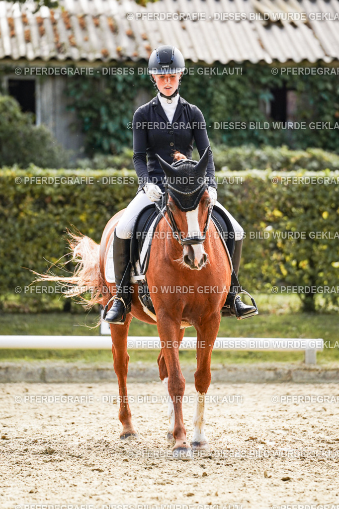 DSC08985 | Pferdegrafie