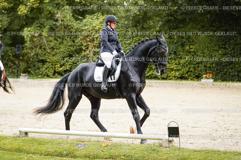 DSC08920 | Pferdegrafie