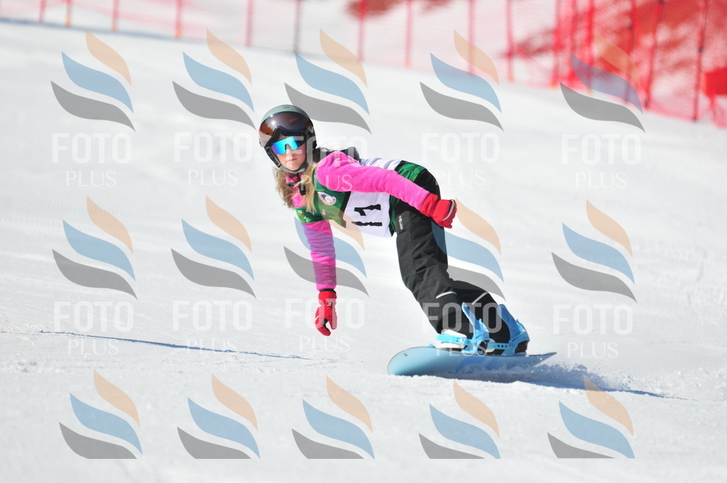 C2417 | holidayphoto