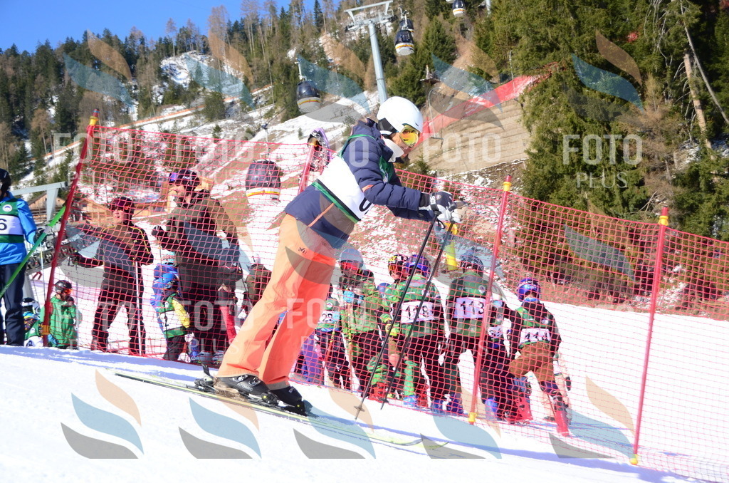 C4482 | holidayphoto