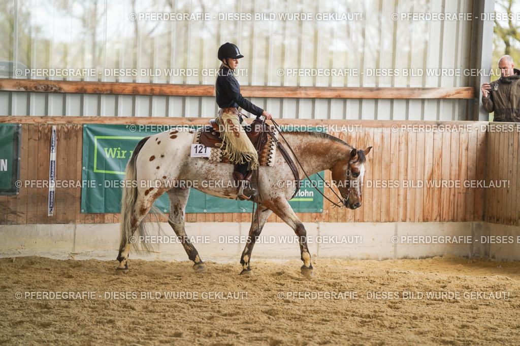 DSC08789 | Pferdegrafie