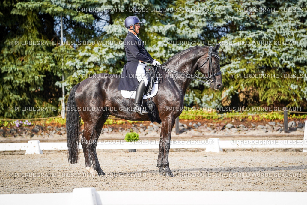 DSC00395 | Pferdegrafie