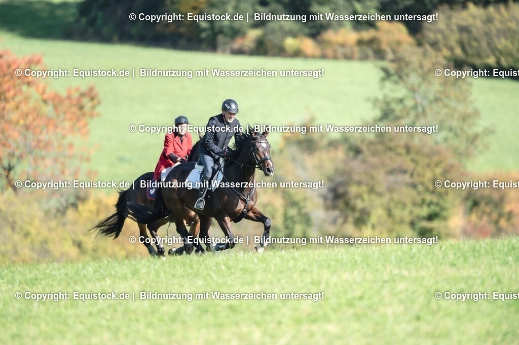 20251011_Jagd-Marbach_0342 | Foto: Thomas Hartig