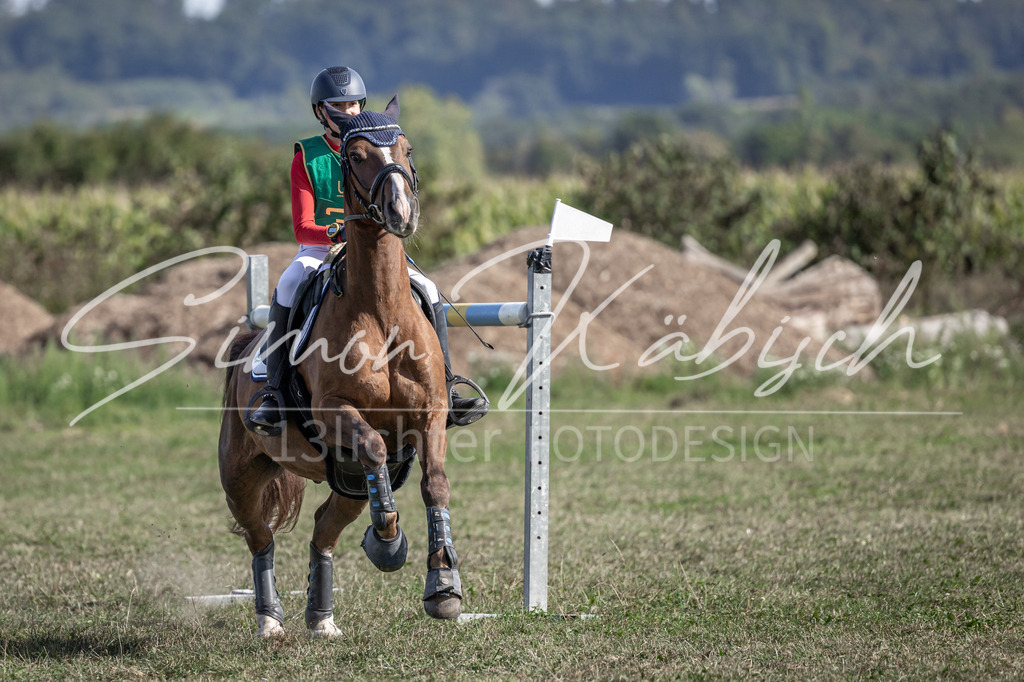 20250907-_3LI3113 | Tierfotografie Pferde, Hunde, Katzen, Haustiere.
Turnierfotografie Reitturniere, Reiten, Springreiten, Dressur in Hanau, dem Main-Kinzig-Kreis und dem Rhein-Main- Gebiet um Frankfurt