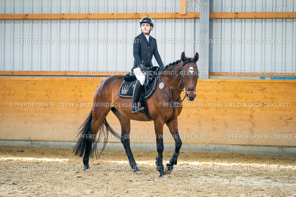 DSC01790 | Pferdegrafie