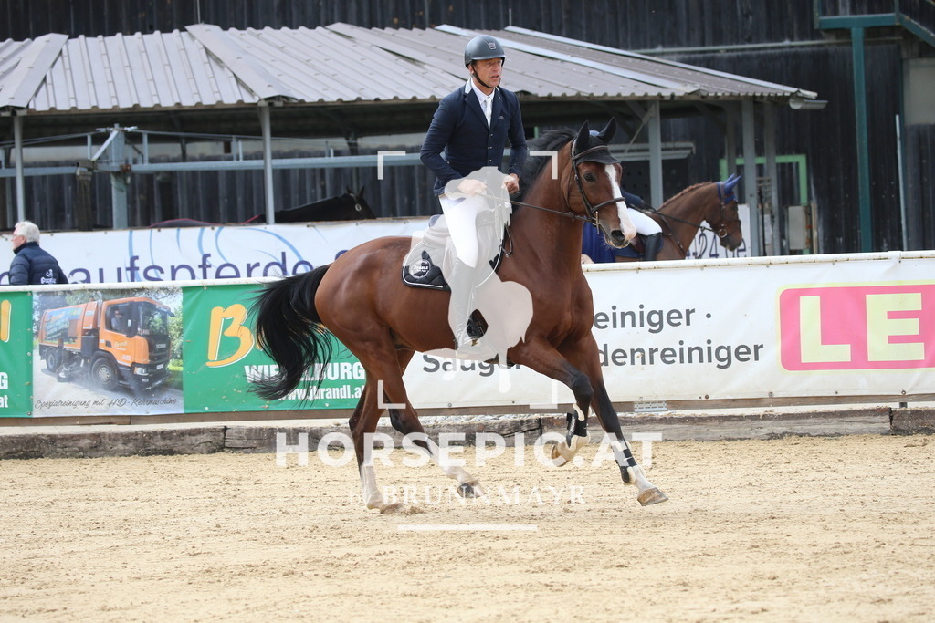 DL2Q1815 | Willkommen bei Brunnmayr - Design & Fotografie – Ihrem Spezialisten für Reitturniere und Pferdeveranstaltungen in Oberösterreich, Salzburg und Bayern! Seit über 17 Jahren sind wir leidenschaftlich dabei.