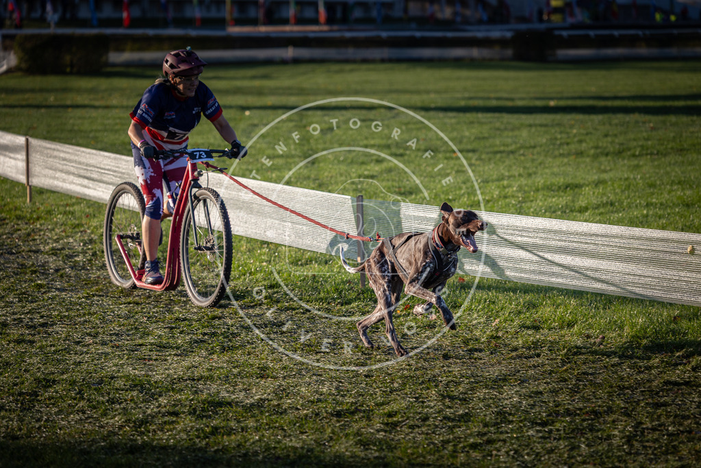CaniXpix_0L8A3198 | Hundefotografie, Tierfotograf, Pfotenfotografie, Fotoshooting Hund, Hunde Portrait, Hundesport, Hundeportraits, Heideshooting, Hunde, Sportfotograf, Hundefotograf, Turnierhundsport, THS,  - Realisiert mit Pictrs.com
