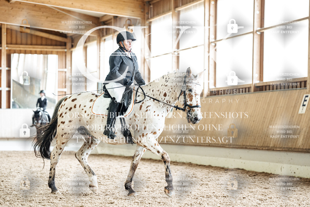 CK901158 | Turnierfotografie Pferdefotografie Trier Rheinland-Pfalz Pferdesport Reitsport Tierfotografie Sportfotografie Pferdevideo Pferdevideografie Equestrianvideography equestrianphotography  - Realisiert mit Pictrs.com