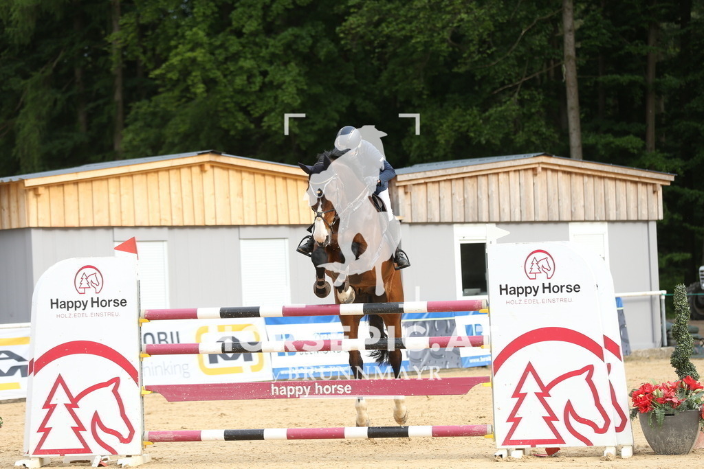 DL2Q4022 | Willkommen bei Brunnmayr - Design & Fotografie – Ihrem Spezialisten für Reitturniere und Pferdeveranstaltungen in Oberösterreich, Salzburg und Bayern! Seit über 17 Jahren sind wir leidenschaftlich dabei.