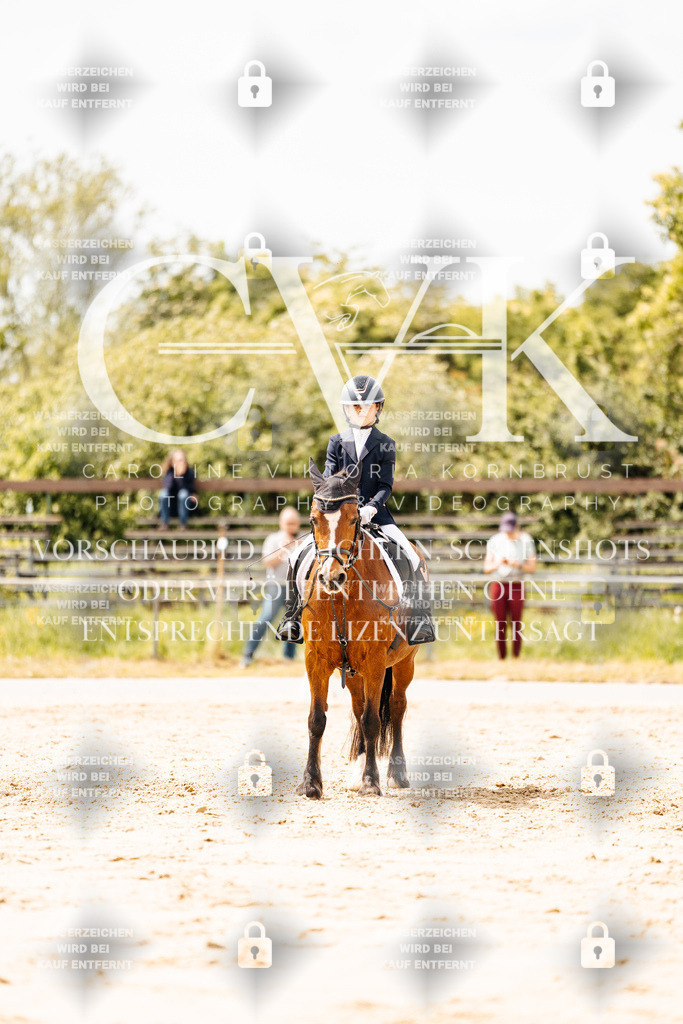CK902430 | Turnierfotografie Pferdefotografie Trier Rheinland-Pfalz Pferdesport Reitsport Tierfotografie Sportfotografie Pferdevideo Pferdevideografie Equestrianvideography equestrianphotography  - Realisiert mit Pictrs.com
