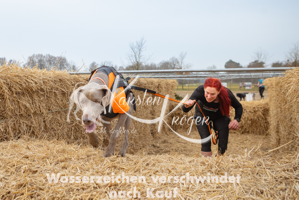0817_ZZ92348 | kk-dogfotos