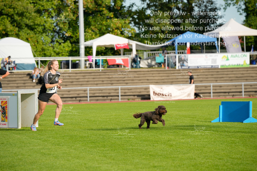 Samstag_CSC (1926 von 2023) | stephaniefillaphotographie - Realisiert mit Pictrs.com