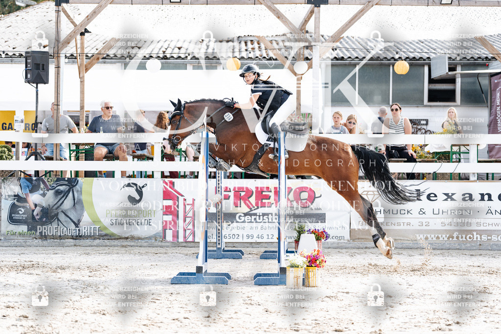 CK905788 | Turnierfotografie Pferdefotografie Trier Rheinland-Pfalz Pferdesport Reitsport Tierfotografie Sportfotografie Pferdevideo Pferdevideografie Equestrianvideography equestrianphotography  - Realisiert mit Pictrs.com