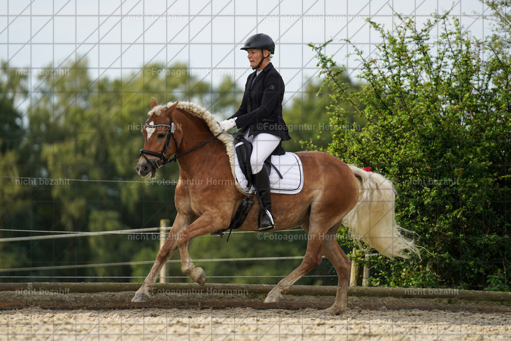 20230826-FAH04535 | Forstinning, 2023, Dressurturnier, Turniersportbilder, Turnierfotografen Bayern, Fotoagentur Herrmann, Reitsportfotografie, Turnierbilder